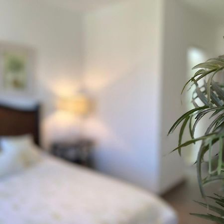 Casas Vacacionales El Deseo By Picsa Administracion Villa San Miguel de Allende Buitenkant foto